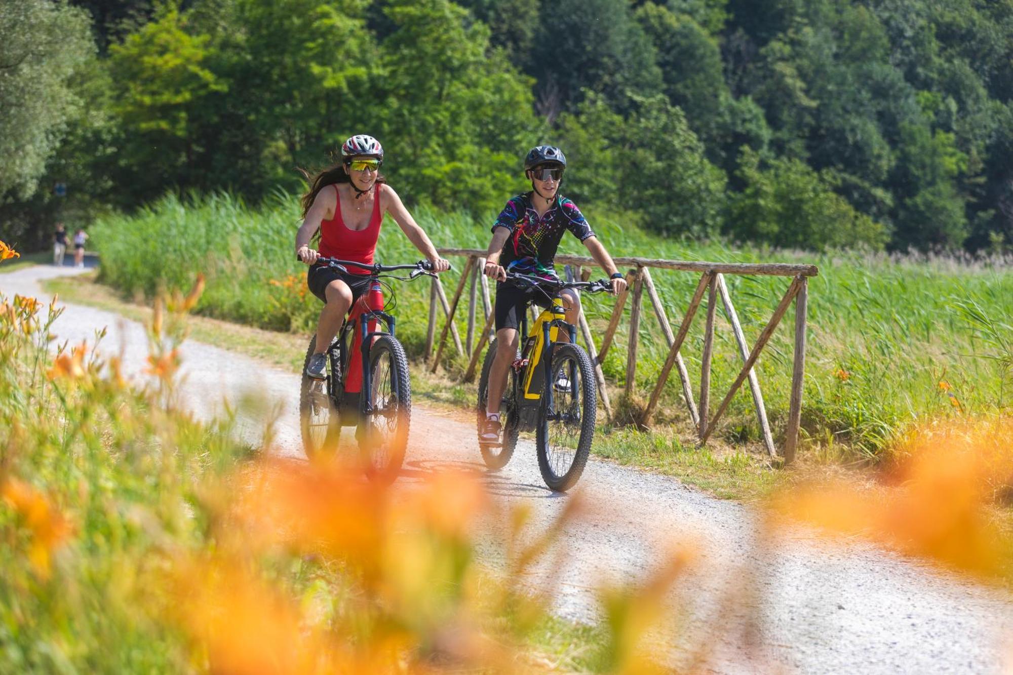 Villa Lago Foreground - Pet Friendly Stay- Garden-Parking-Lake View- Bike Friendly Holiday House Colico Buitenkant foto