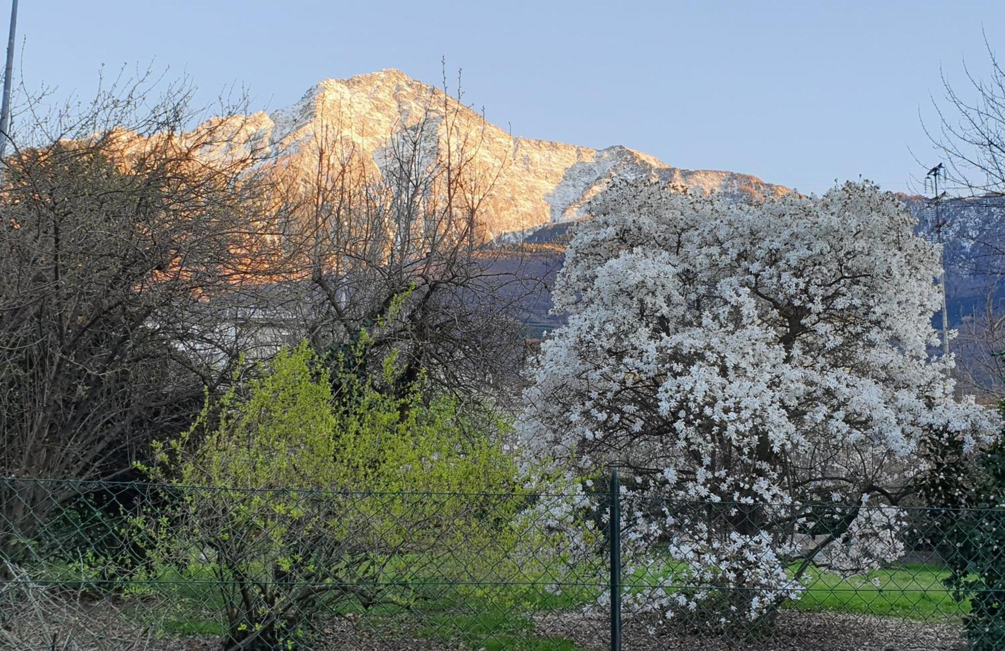 Villa Lago Foreground - Pet Friendly Stay- Garden-Parking-Lake View- Bike Friendly Holiday House Colico Buitenkant foto